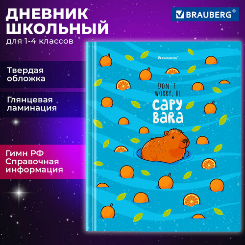 Дневник 1-4 класс 48 л, твердый, BRAUBERG, глянцевая ламинация, с подсказом, 