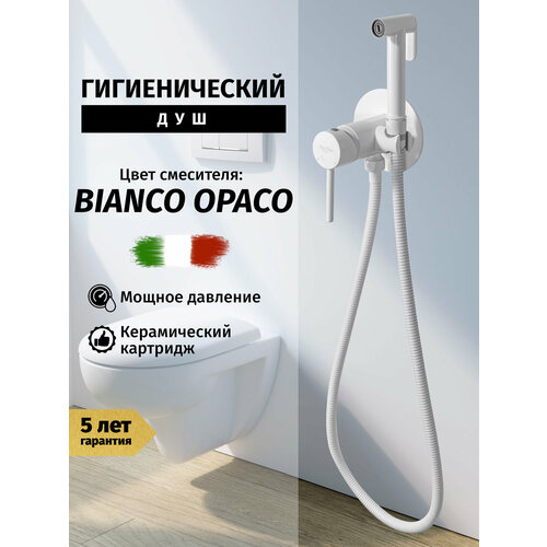 Смеситель с гигиеническим душем из латуни Vivi Felice 12227₽