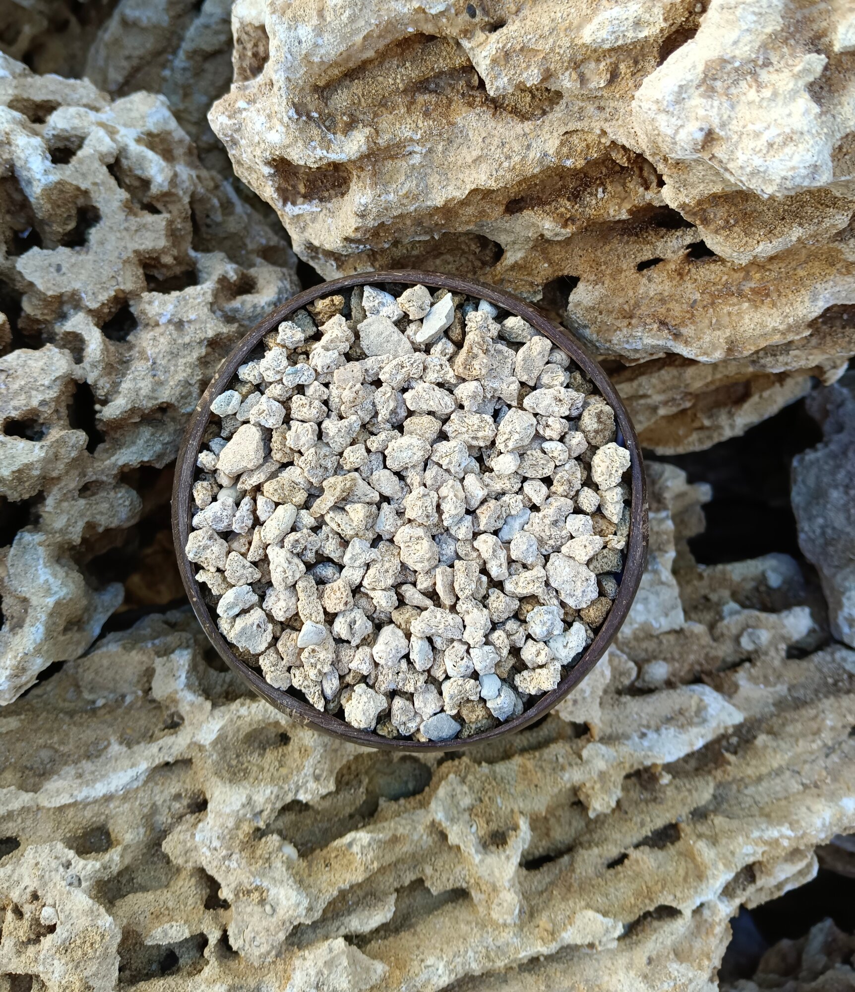 Крошка ракушняк  Меотис  АКД 5 10 мм  1 кг