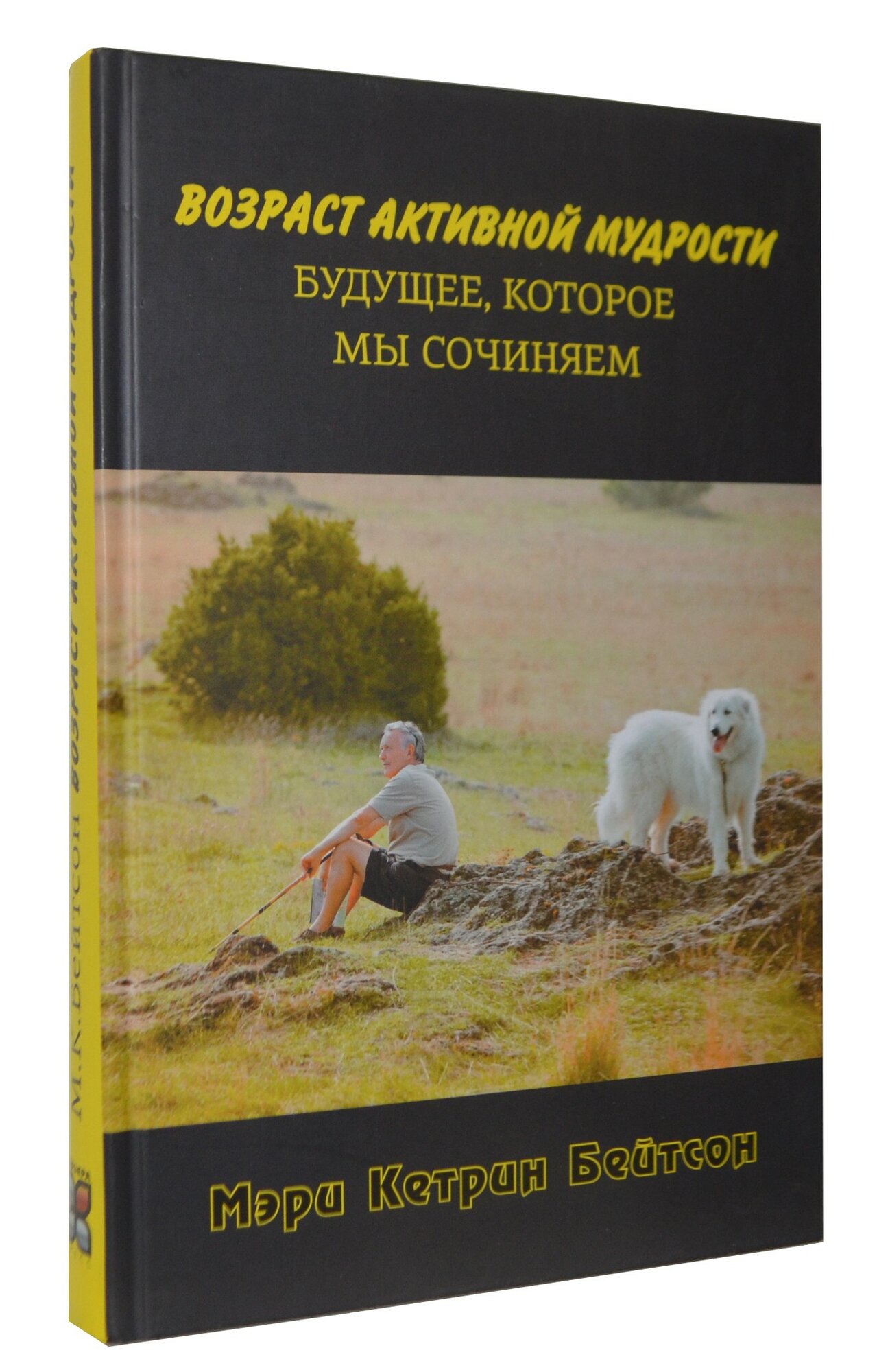 Возраст активной мудрости. Будущее, которое мы сочиняем - фото №6