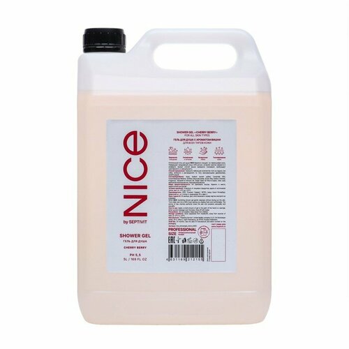 Гель для душа NICE by SEPTIVIT Cherry Berry, 5 л (комплект из 2 шт)