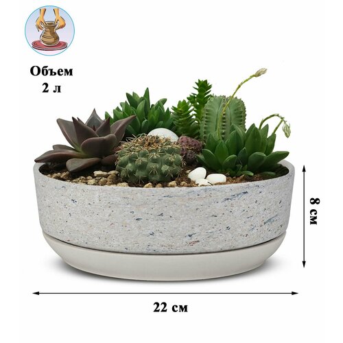 Керамический горшок-бонсайница для бонсай, кактусов и суккулентов.
