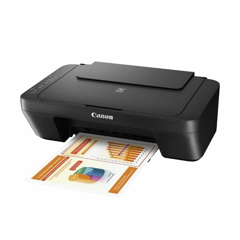 МФУ струйный Canon Pixma MG2555S (0727C026) A4 черный