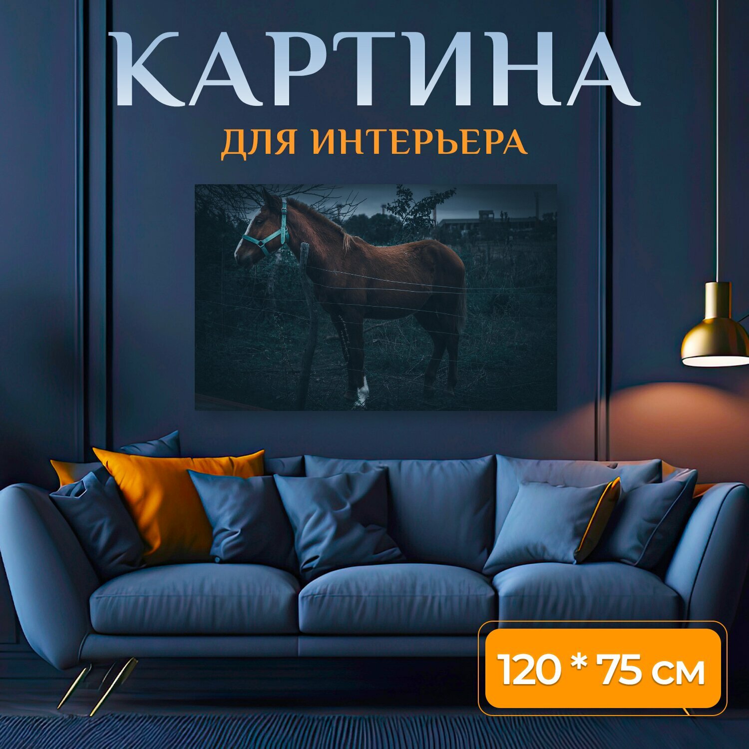 Картина на холсте "Лошадь животное одомашненный" на подрамнике 120х75 см. для интерьера