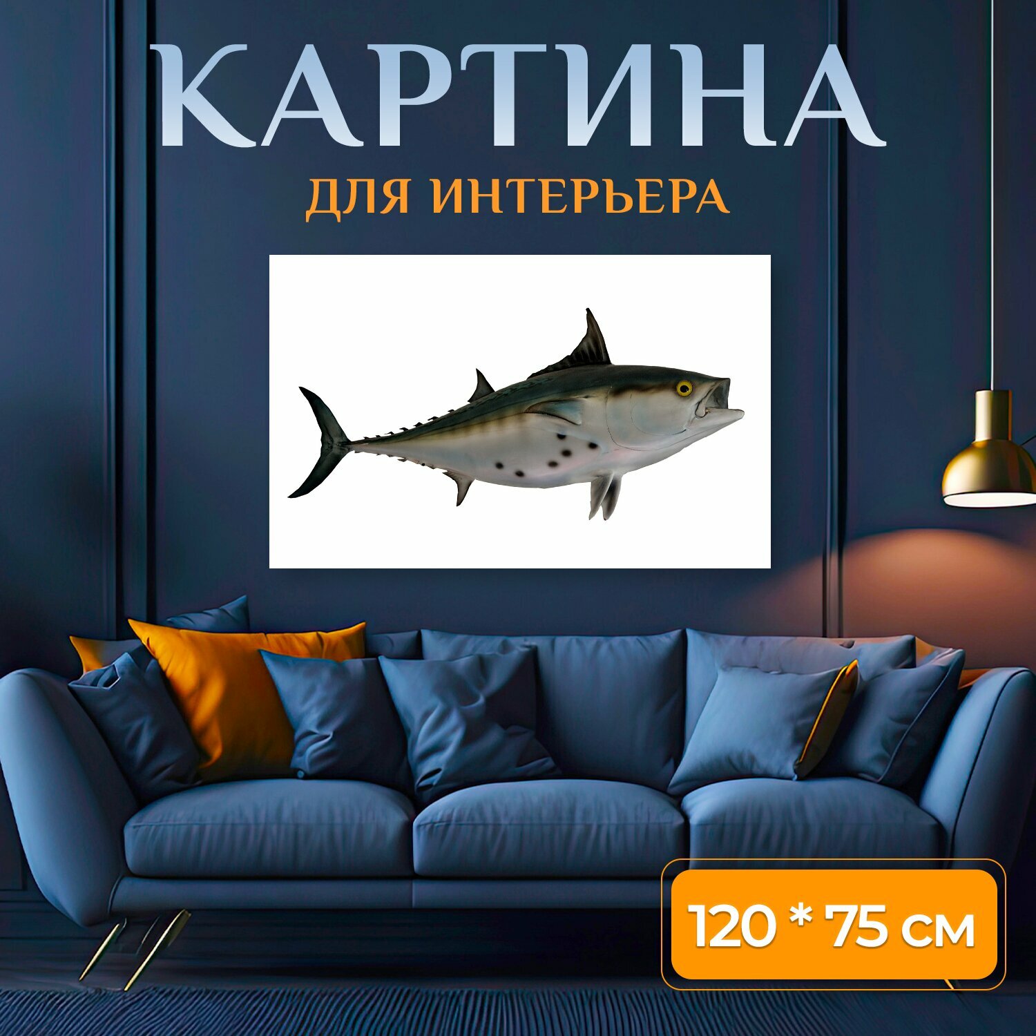 Картина на холсте "Рыба бонито, таксидермия, крепление на рыбу" на подрамнике 120х75 см. для интерьера