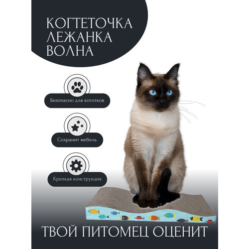 Когтеточка лежанка волна