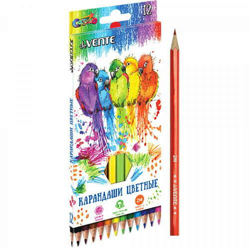 карандаши набор 12 цветов сибирский кедр ежик длина 175 мм шестигранные в картонной коробке Карандаши цветные deVENTE Карандаши цветные 12 цветов Cosmo 2М