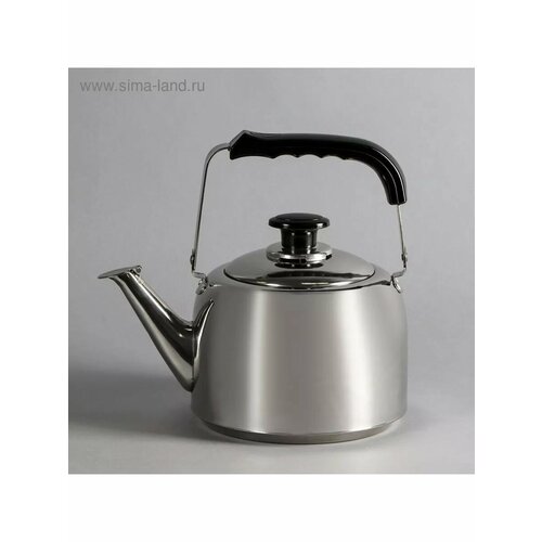 Чайник из нержавеющей стали 3 л 3225₽