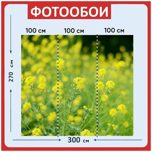 Фотообои Растения желтый и зеленый цветок 300x270 см флизелиновыена стену 2950₽