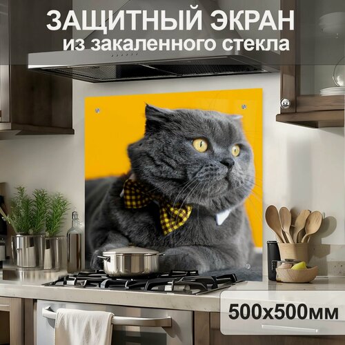 Изображение товара Защитный экран от брызг на плиту 500х500х4мм. Стеновая панель для кухни из закаленного стекла. Фартук для кухни на стену