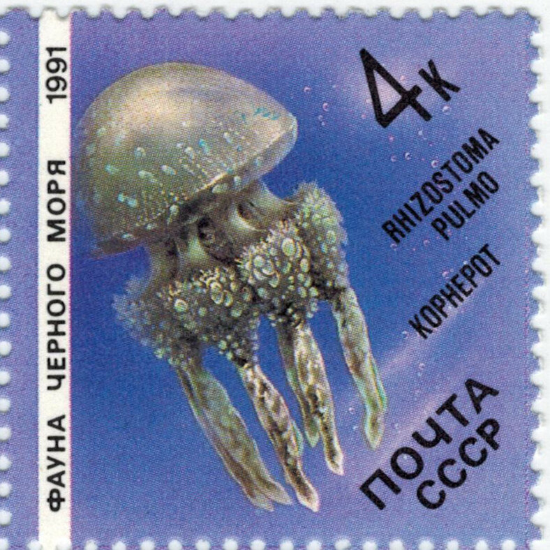 Марка. Россия. Корнерот. 1991 год. Фауна.