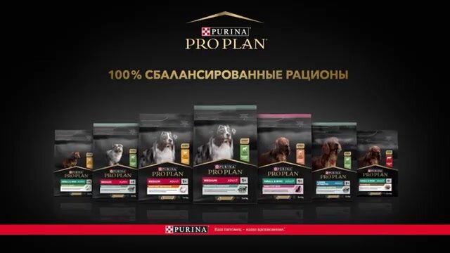 Сухой корм PRO PLAN® EVERYDAY NUTRITION для взрослых собак крупных пород с атлетическим телосложением с курицей, 14 кг — фото 1