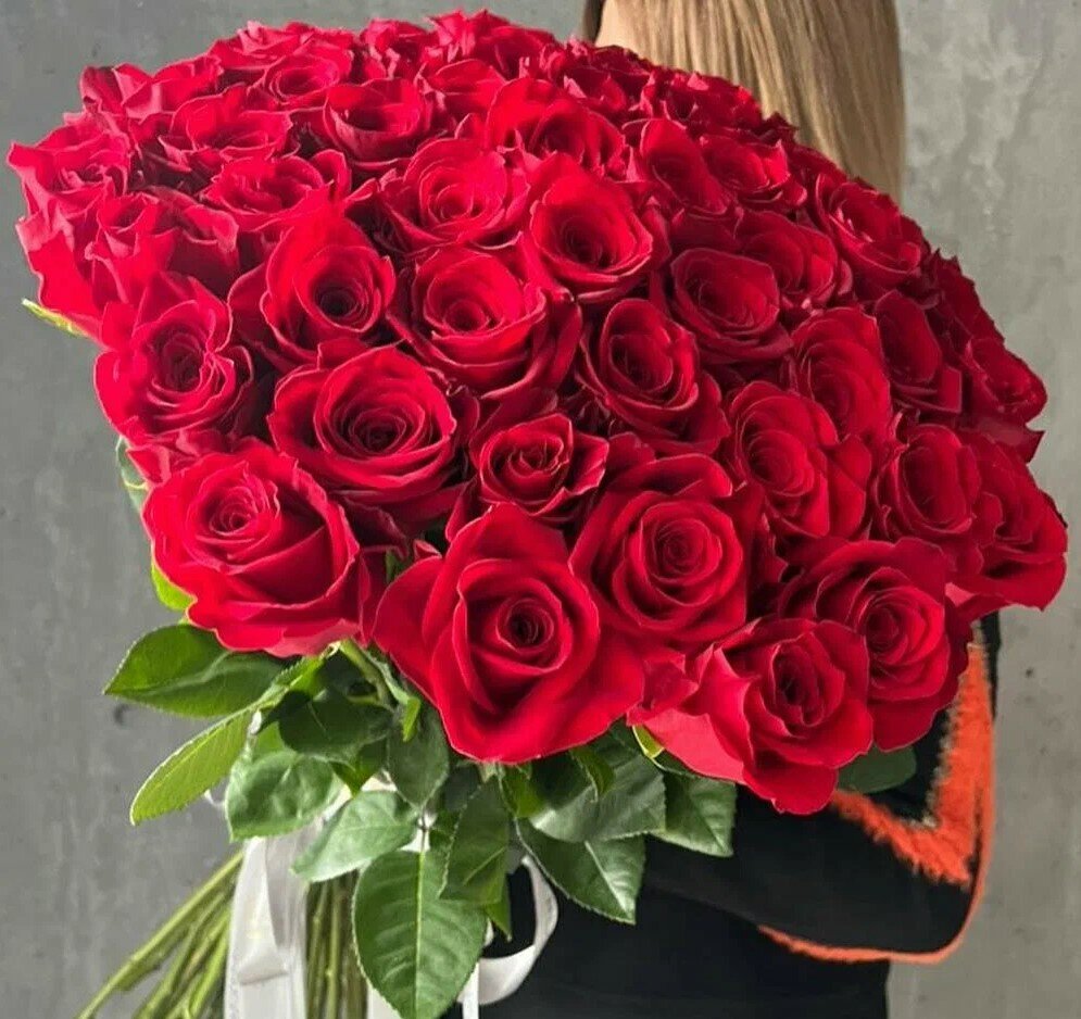 Букет из красных роз 25 шт красивый букет цветов шикарный премиум цветы премиум букет