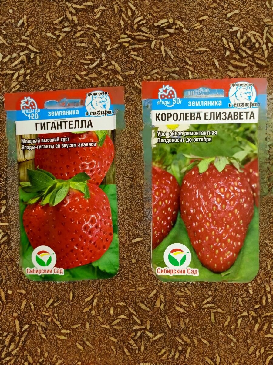 Набор семян крупноплодной земляники : Гигантелла Королева Елизавета по 1 пакету Сибирский Сад.