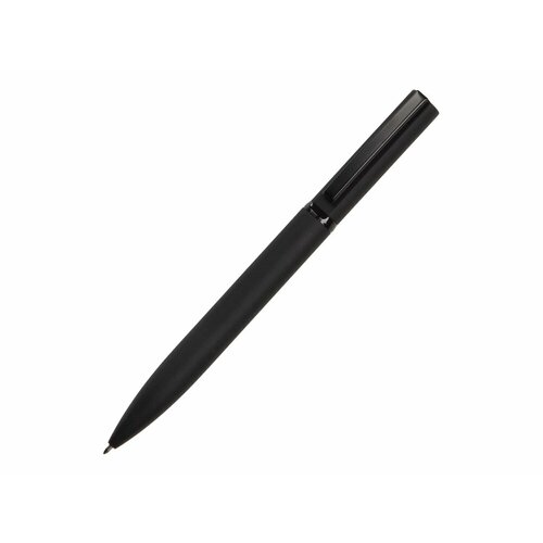 Шариковая металлическая ручка Siegfried, черный