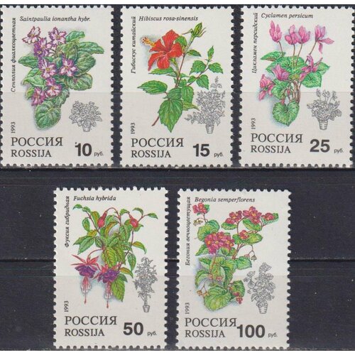 Почтовые марки Россия 1993г. Комнатные растения Цветы MNH