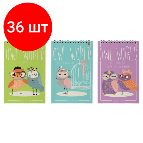 Комплект 36 шт, Блокнот А5, 40 л, гребень, ламинированный картон, клетка, Альт, Совы, (5 видов), 3-40-024