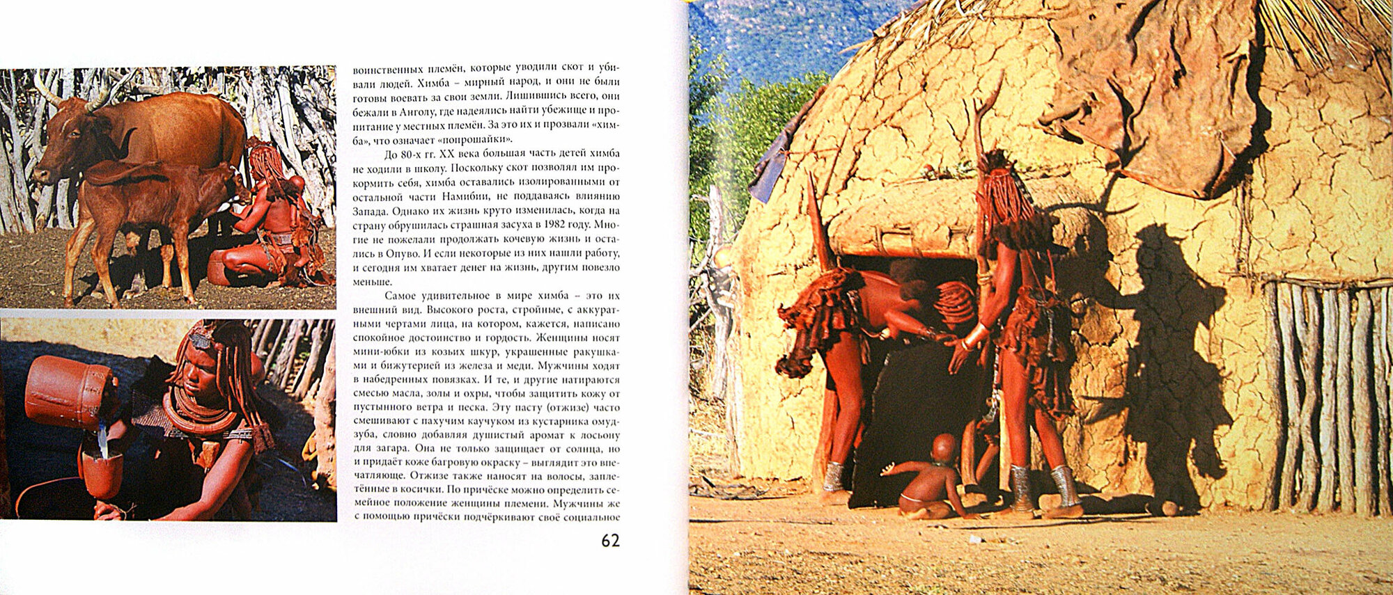 Потомки Бледного Лиса. Сказки народов Африки - фото №8