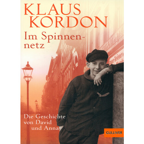 Im Spinnennetz. Die Geschichte von David und Anna | Kordon Klaus