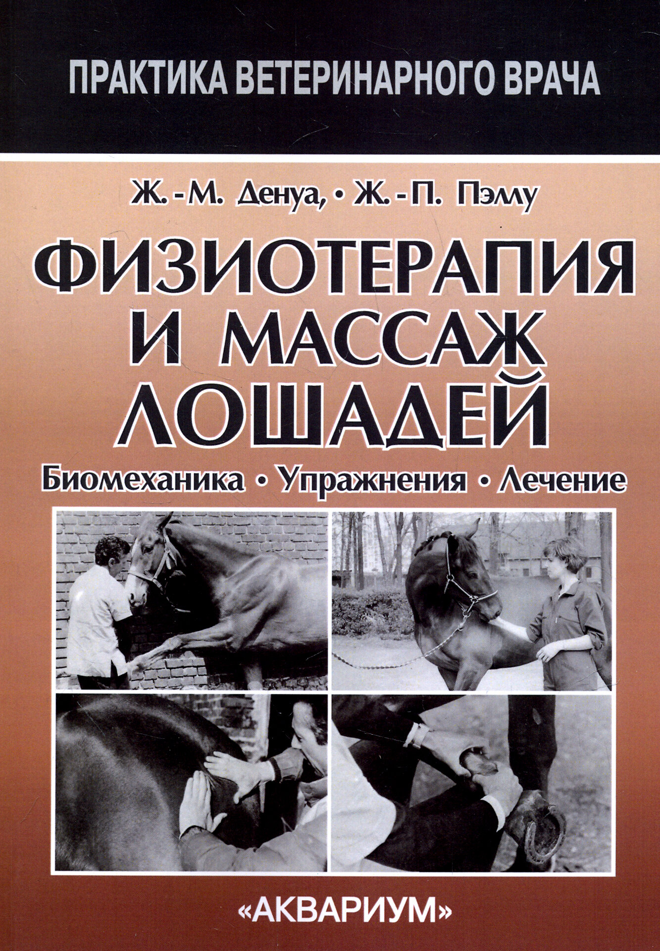 Физиотерапия и массаж лошадей. Биомеханика. Упражнения. Лечение - фото №2