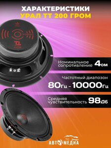 Акустическая система ТТ 200 гром (комплект 2 шт)