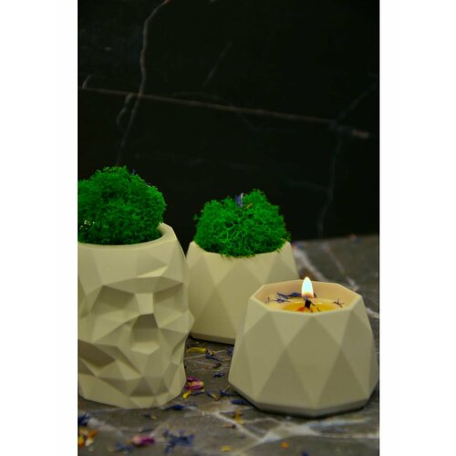 Свеча ароматическая и Череп кашпо с мхом