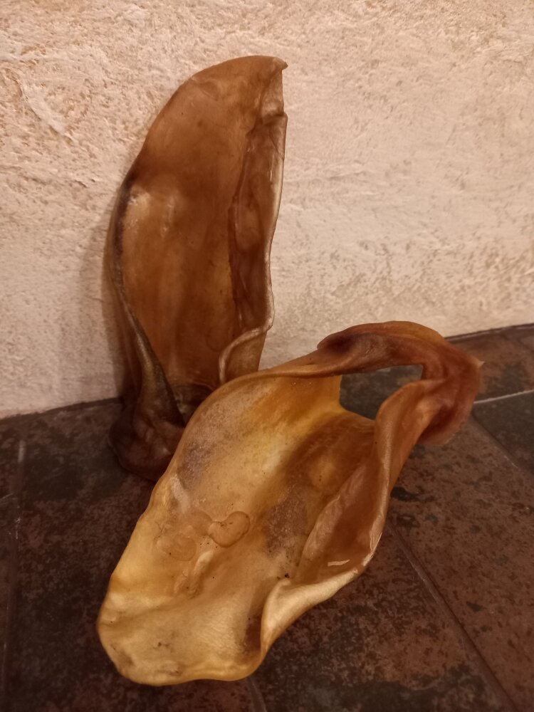 Ушки говяжьи, сушеные (Хрящ - ушная раковина, цельная), 180-210 гр.
