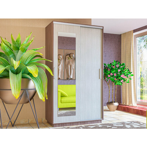 Шон-1 Шкаф-купе двухдверный с зеркалом 2200х1200х600 Яс тёмняс свет 16830₽