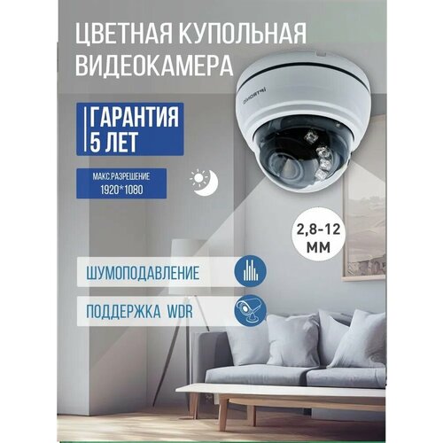 Купольная видеокамера IPTRONIC IPT-QHD1080DP28-12 680000₽