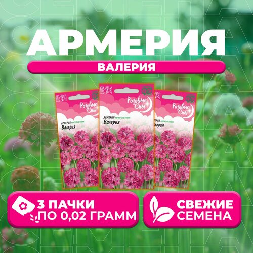 Армерия Валерия, 0,02г, Гавриш, Розовые сны (3 уп) изюмченко валерия дмитриевна южные сны