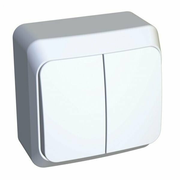 Выключатель 2-клавишный, о/у, 10А, IP20, белый, этюд, Systeme Electric (Schneider Electric)