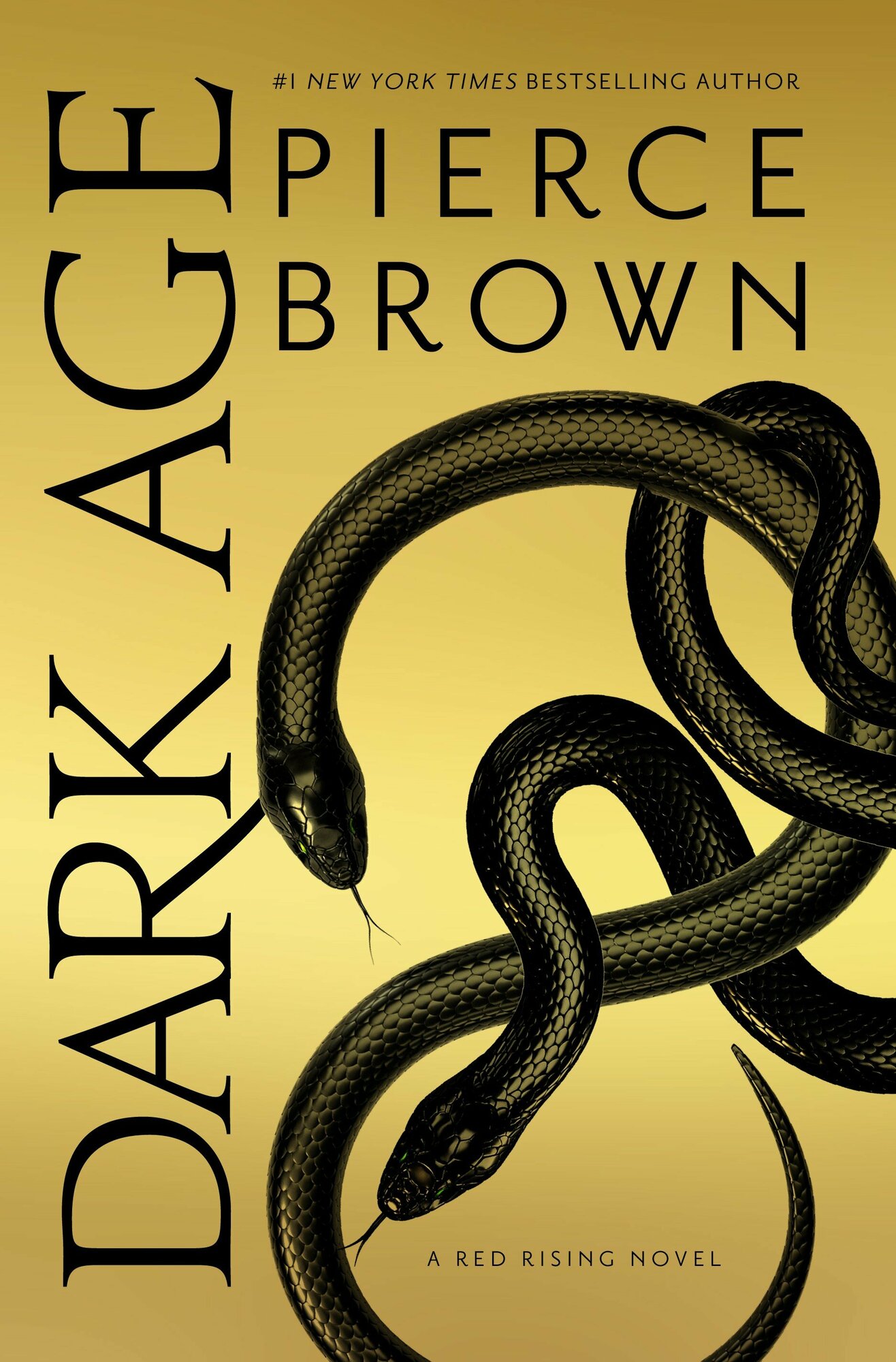 Dark Age / Brown Pierce / Книга на Английском / Браун Пирс - фото №1