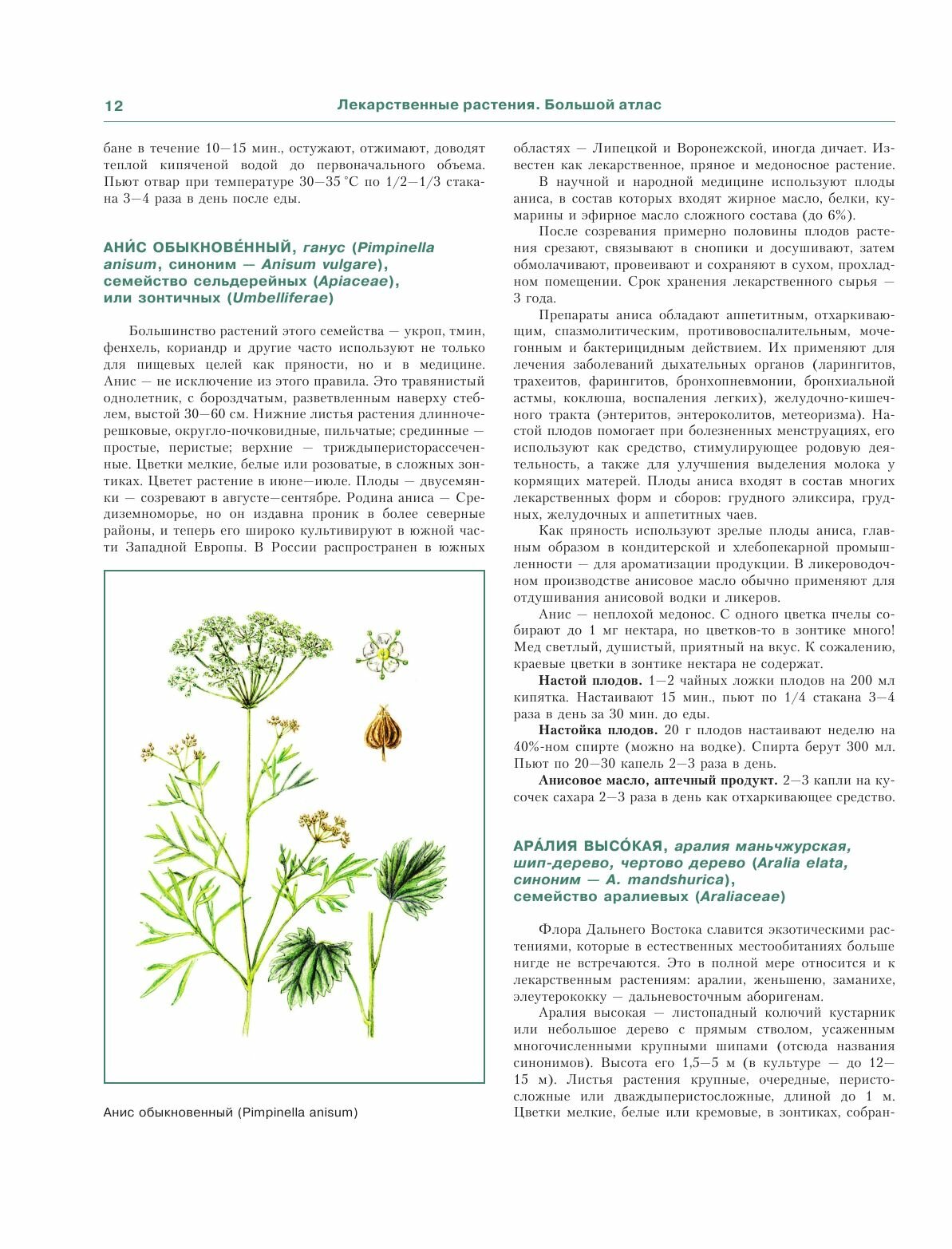 Лекарственные растения. Большой атлас - фото №11
