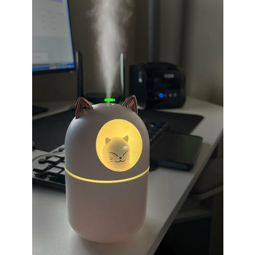 Увлажнитель воздуха 99900₽