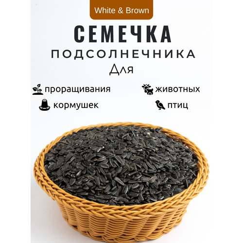 семечки тыквенные очищенные 10% вес Семечки подсолнечника 10 кг. Сырые, неочищенные. Корм для лесных уличных и домашних птиц, грызунов.