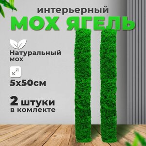 Мох стабилизированный настенное панно 5 см*50 см из мха 2 штуки / картина для декора/озеленения интерьера, зеленое Яблоко