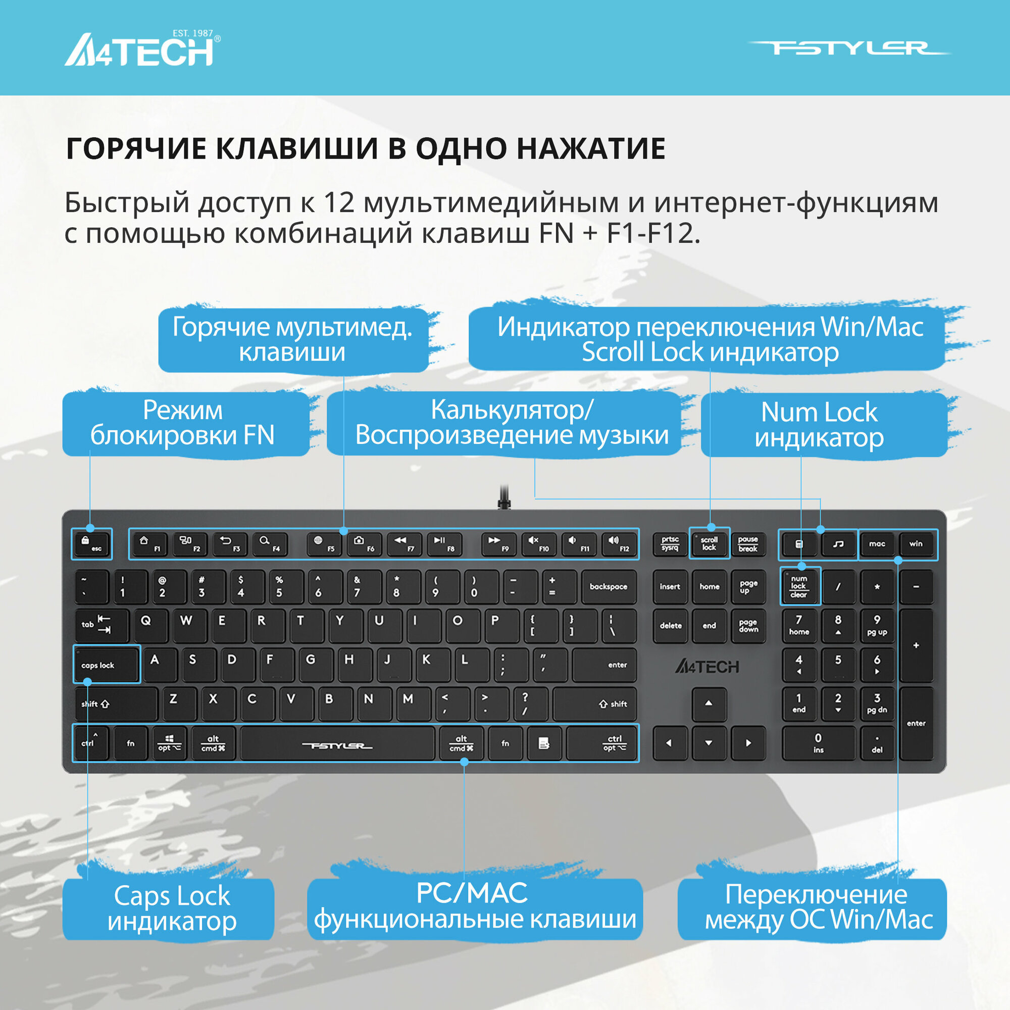 Клавиатура A4Tech Fstyler FX50 серый USB slim Multimedia