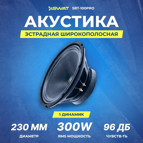 Акустика SWAT SBT-100Pro СЧНЧ 299000₽