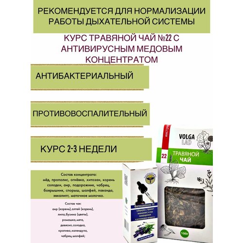 Курс для нормализации работы дыхательной системы - травяной чай №22 с антивирусным медовым концентратом