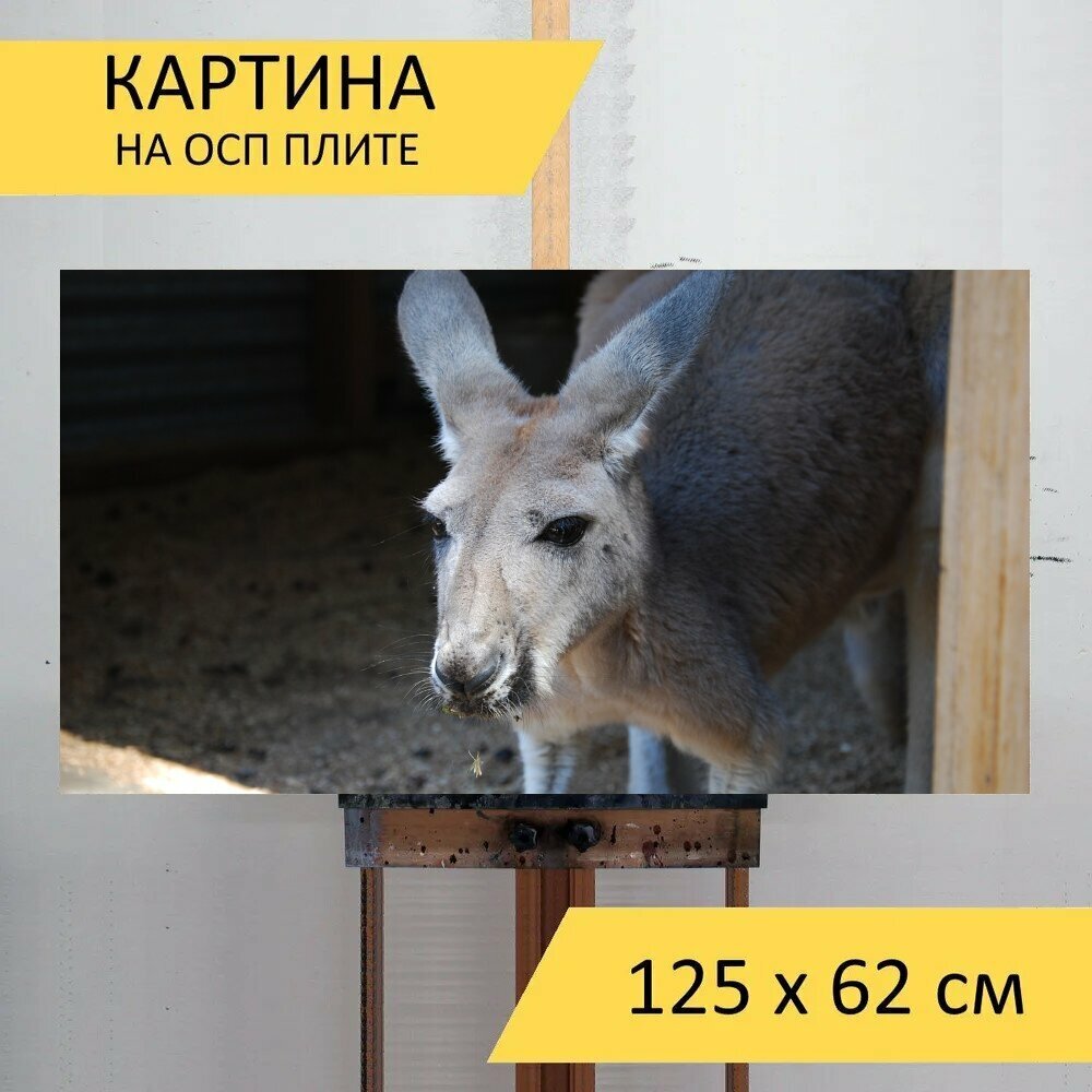 Картина на ОСП 125х62 см. "Млекопитающее, животное, природа" горизонтальная, для интерьера, с креплениями