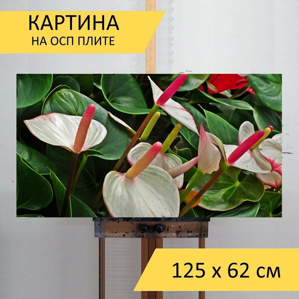 Картина на ОСП 125х62 см. 