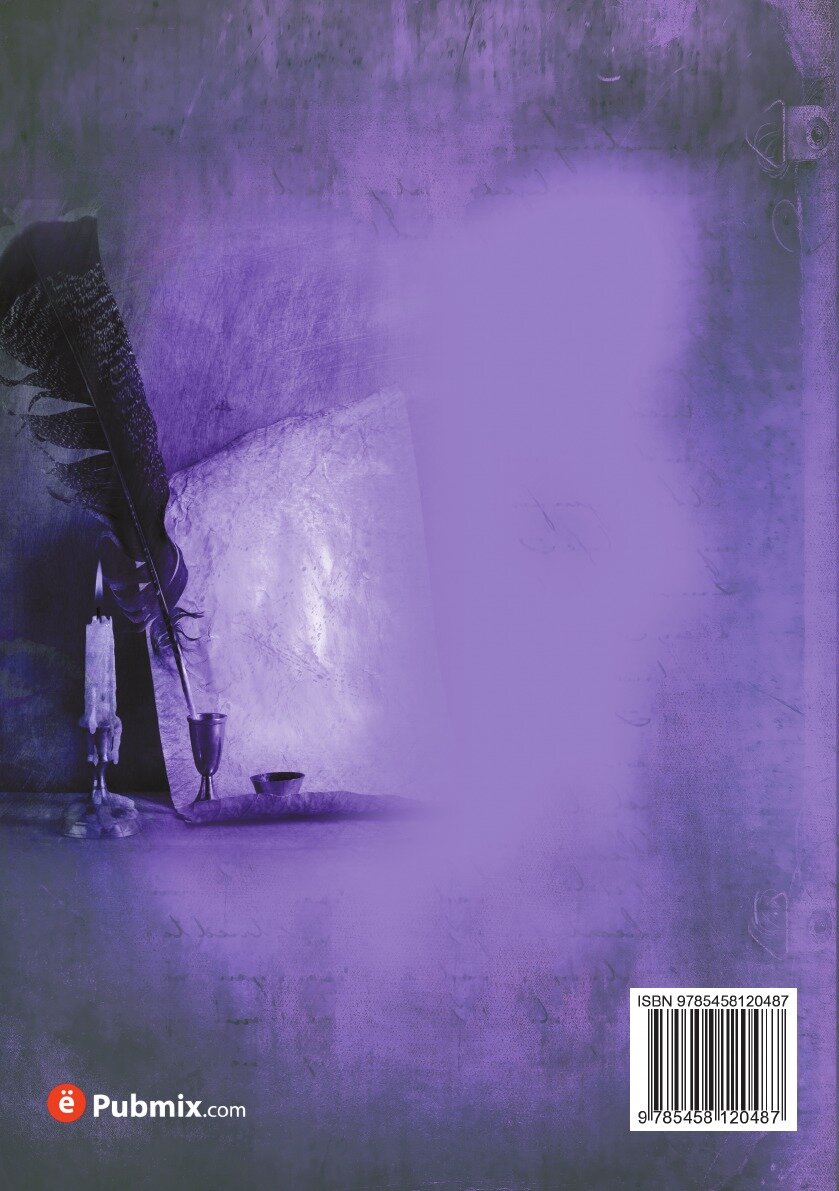 Книга Пребывание государя императора в Париже и покушение на его жизнь - фото №2