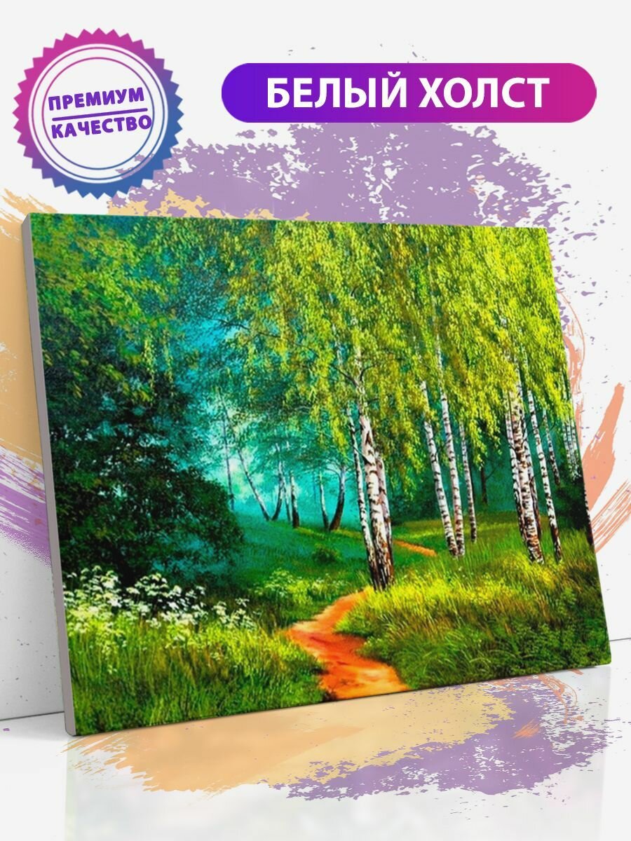 Картина по номерам на холсте с подрамником, "Березовый лес", 40х50 см