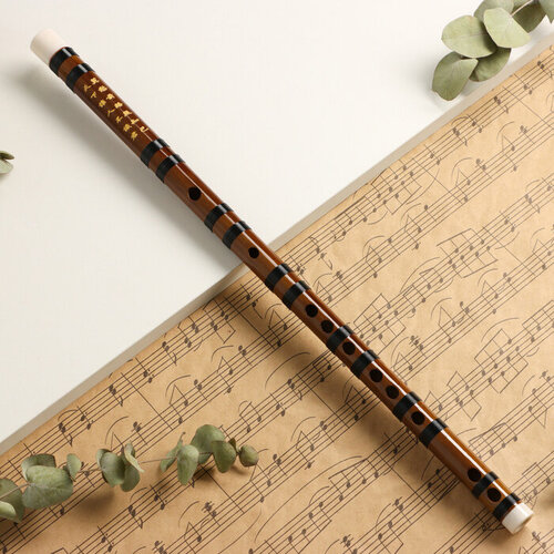 Флейта Music Life 48 см, бамбук, тональность G блок флейта maxtone tr 1011 g