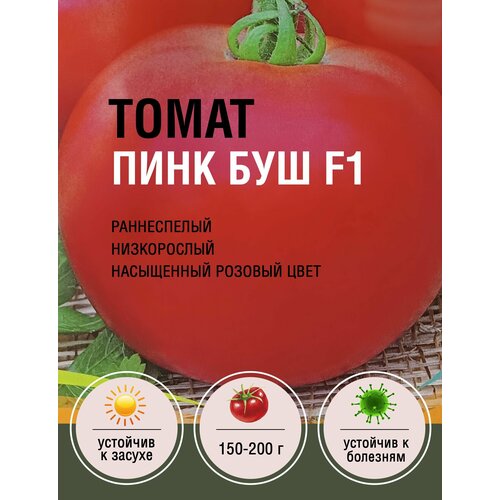 Томат Пинк Буш F1 (1 пакет по 10шт) томат пинк буш f1 sakata 10шт цв п