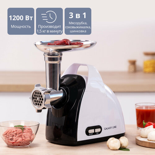 Мясорубка электрическая GALAXY LINE GL2420 1199000₽