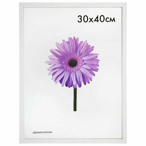 Фоторамка maria 300х400мм белая пластик 960₽