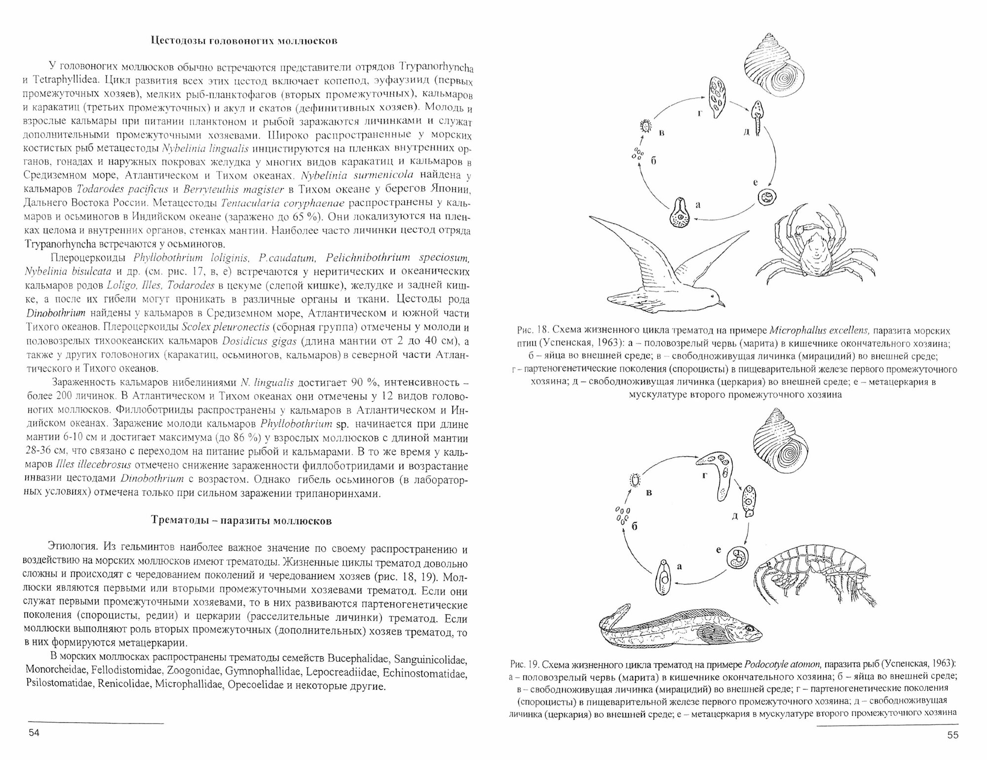 Болезни и паразиты культивируемых и промысловых беспозвоночных и водорослей. Учебное пособие - фото №3