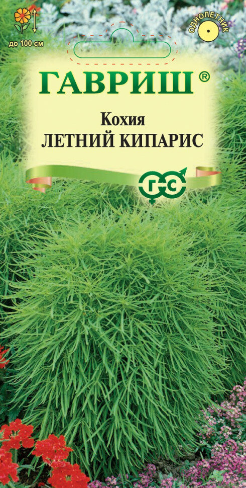 Семена Кохия веничная Летний кипарис 03г Гавриш Цветочная коллекция 10 пакетиков