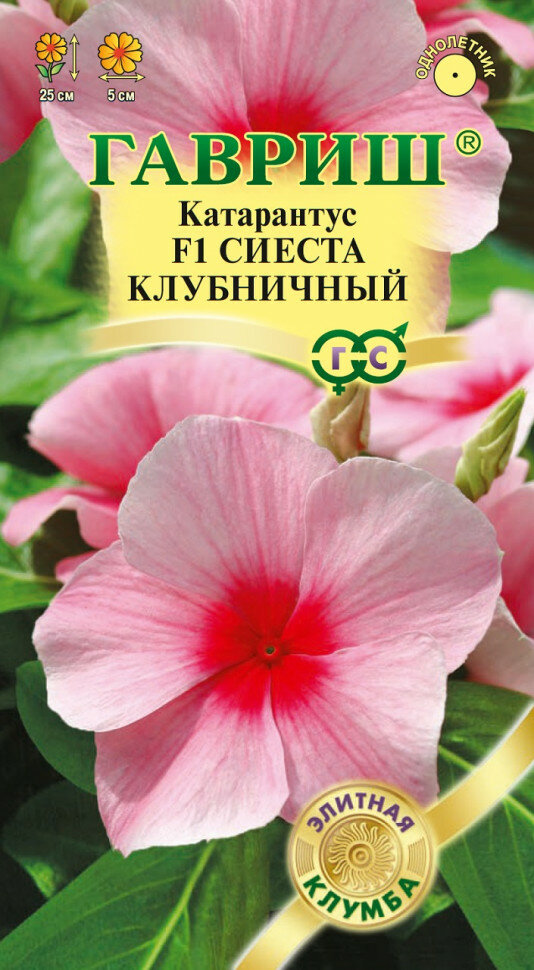 Семена Катарантус Сиеста клубничный F1, 5шт, Гавриш, Элитная клумба, 10 пакетиков
